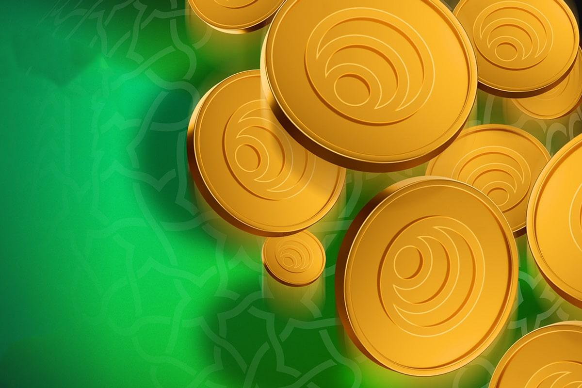 Financial Inclusion in Pakistan: Can Shariah-Compliant HAQQ Blockchain Solve the Problem?